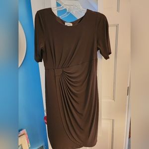 Dressbarn brown dress 16
